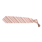 Tienamic - stropdas