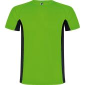 Fluor Green/Black
